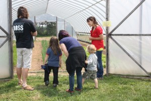Open Farm Day 2013