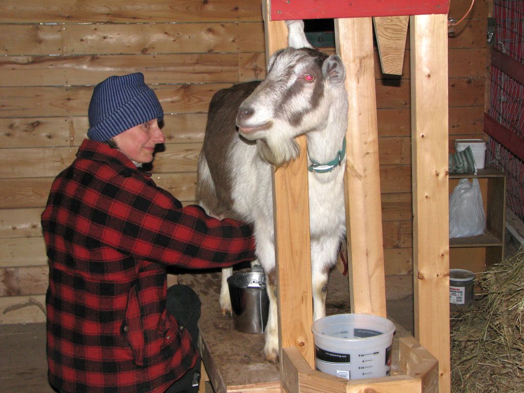 Csa Information Windy Hill Organic Farm