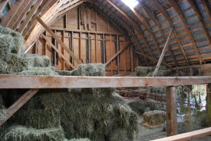 Hay in the hayloft